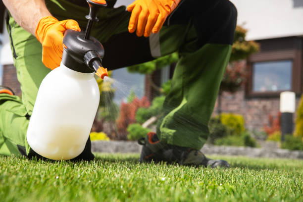 Best Pest Control for Businesses  in Ash Grove, MO