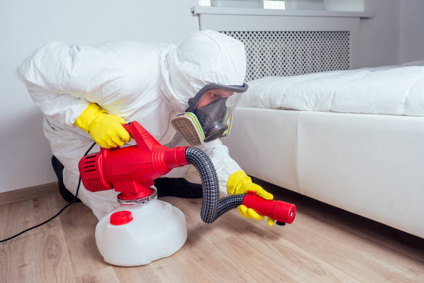 Best Affordable Pest Control Services  in Ash Grove, MO