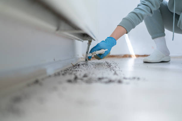Pest Prevention Services in Ash Grove, MO