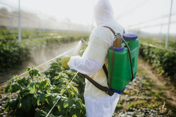 Trusted Ash Grove, MO Pest Control Experts